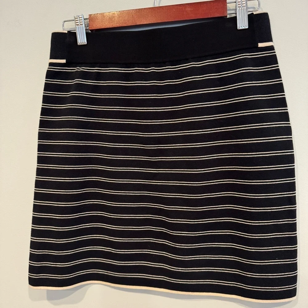Rag & Bone Regan Skirt Mini Stripe Exposed Zipper Size M